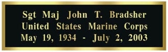 Air force Wall Tribute, Air force Wood Wall Tribute, USAF emblem - 12".
