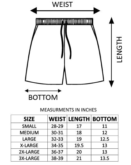 US Flag design Shorts