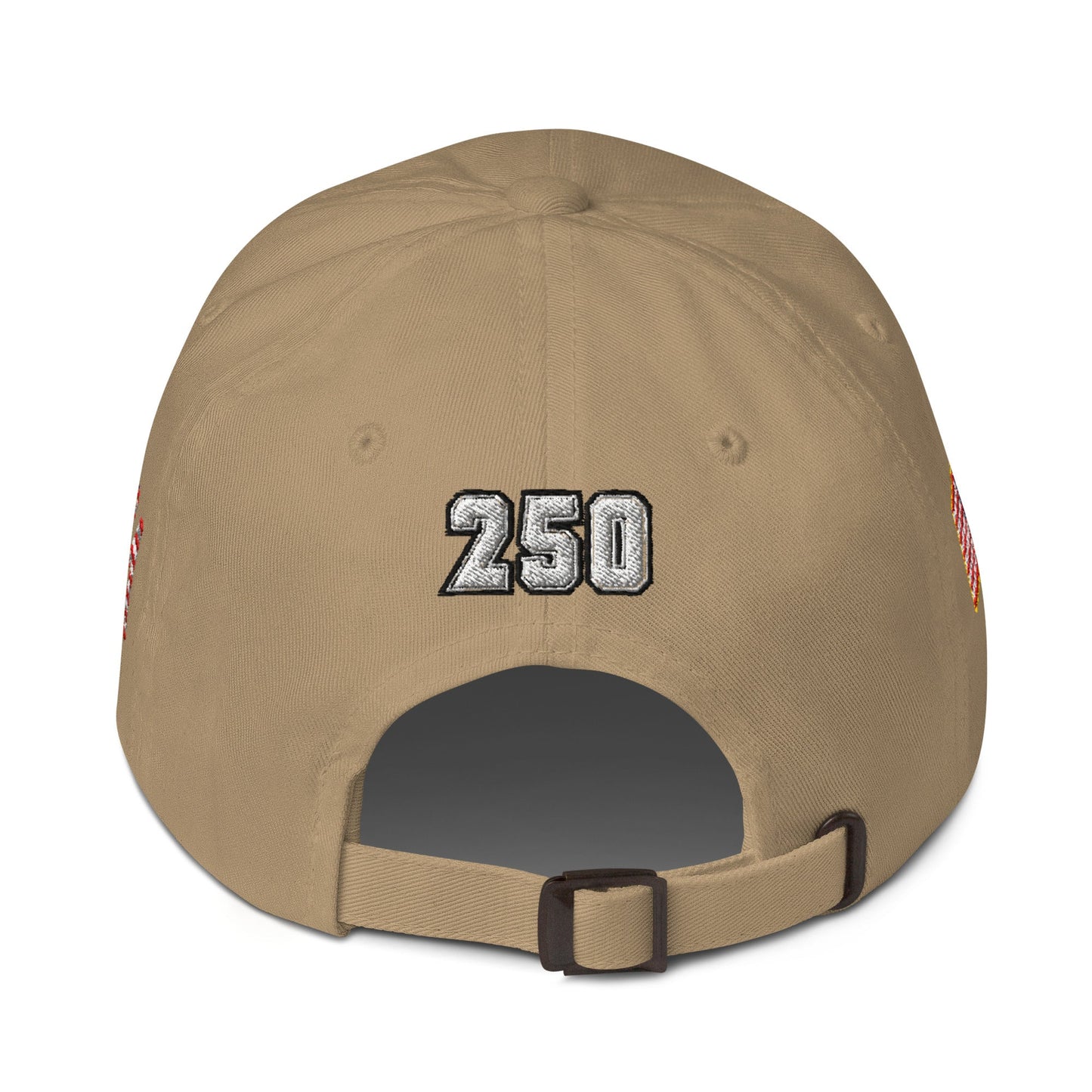 We The People 250 Year Baseball Hat | 4-Sided Embroidered Cap