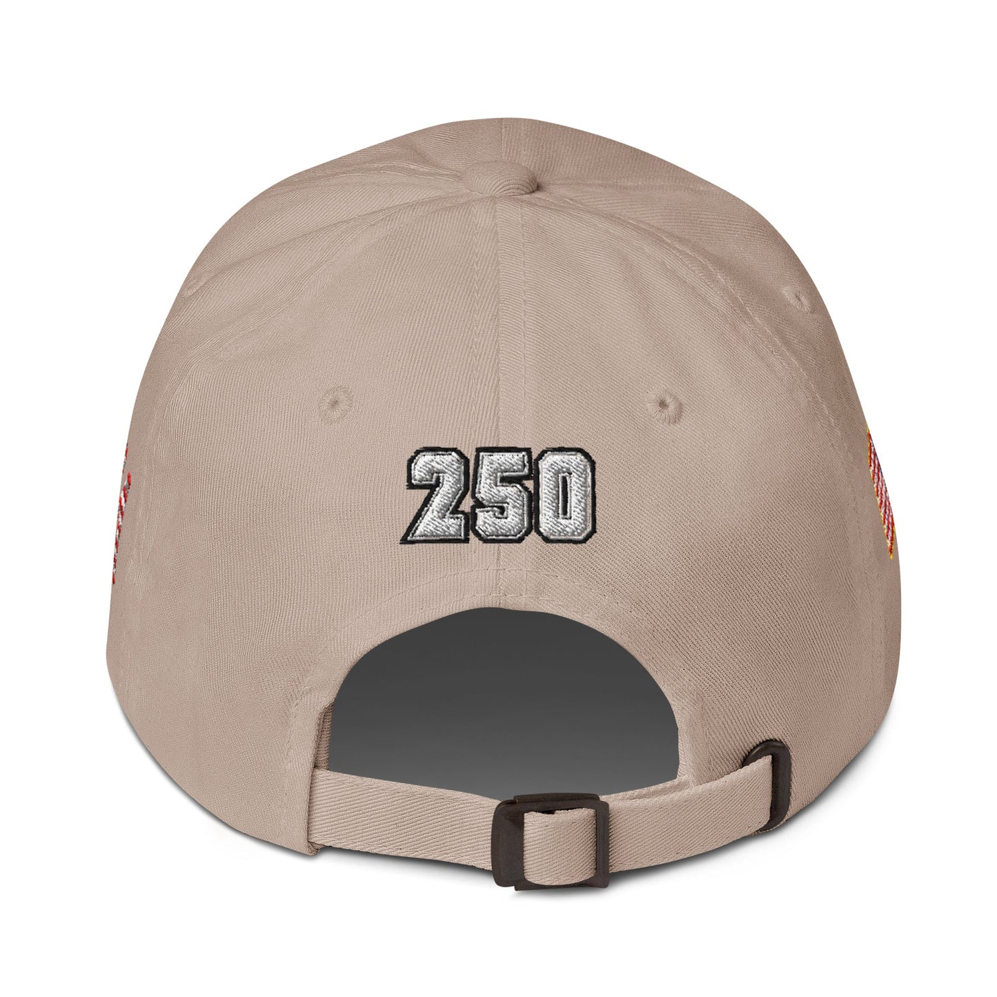 We The People 250 Year Baseball Hat | 4-Sided Embroidered Cap
