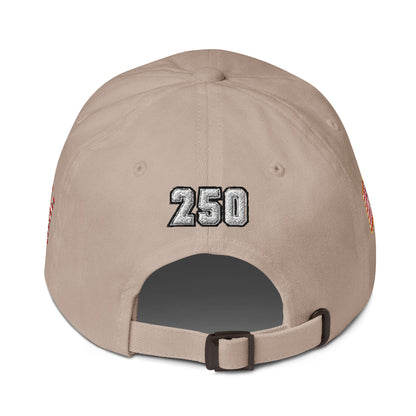 We The People 250 Year Baseball Hat | 4-Sided Embroidered Cap
