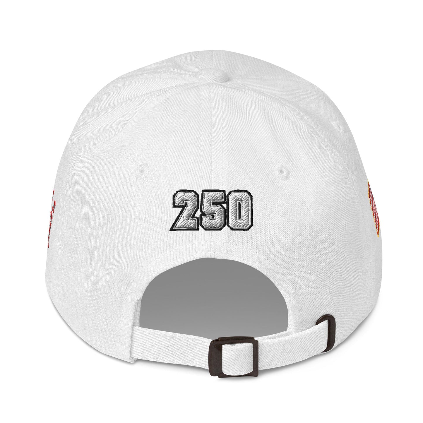 We The People 250 Year Baseball Hat | 4-Sided Embroidered Cap