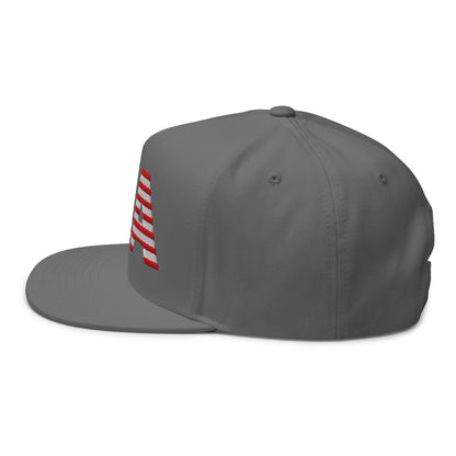 USA Flat Bill Cap | Embroidered Snapback Hat
