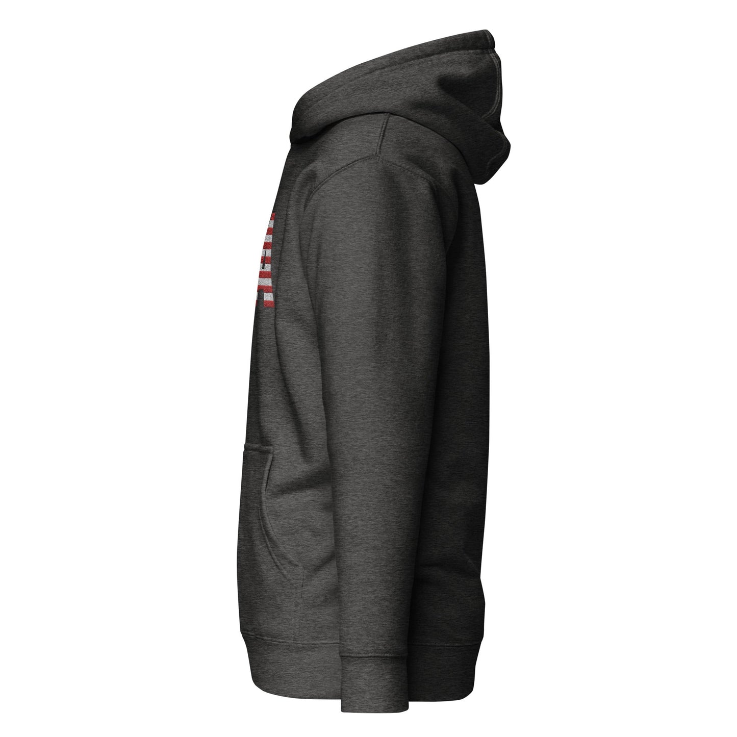 USA Large Embroidery Unisex Hoodie | Patriotic Apparel
